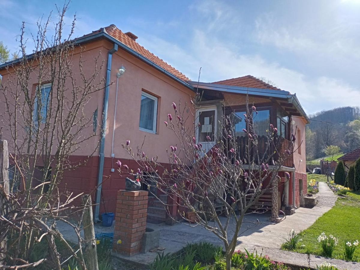 Kuca Jablansko Polje Villa Krepoljin Exterior photo