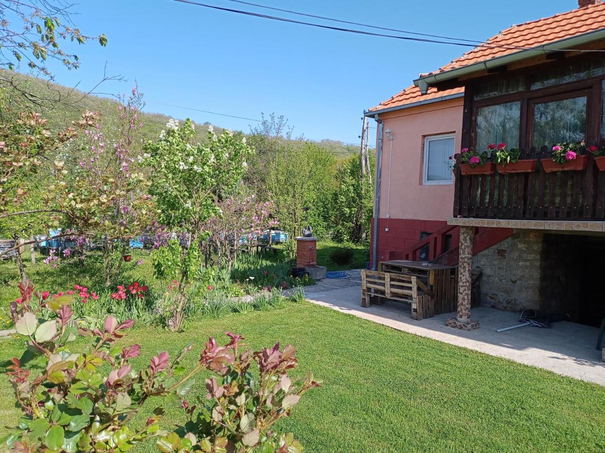 Kuca Jablansko Polje Villa Krepoljin Exterior photo